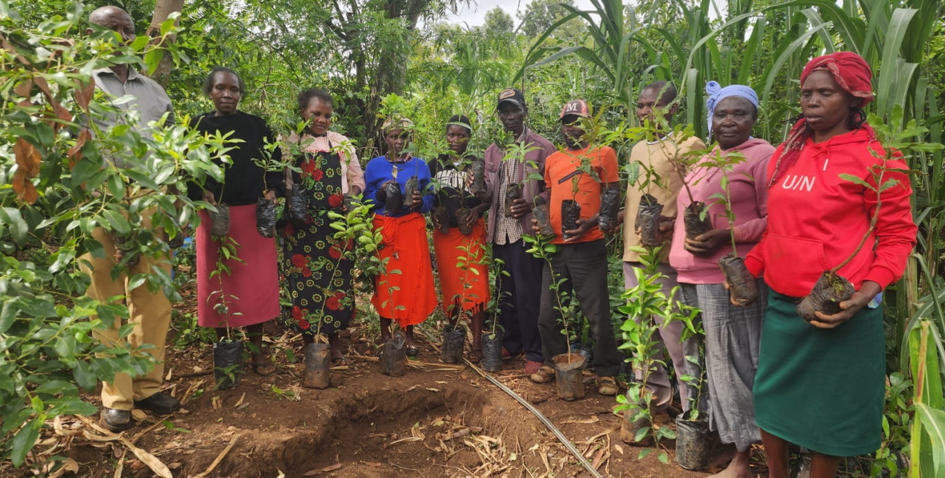 Tree Planting in Kenya 