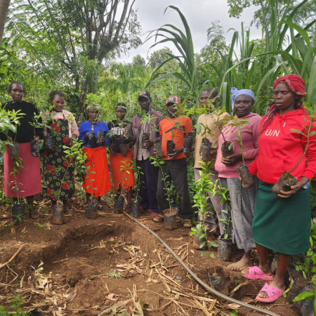 Tree Planting in Kenya 