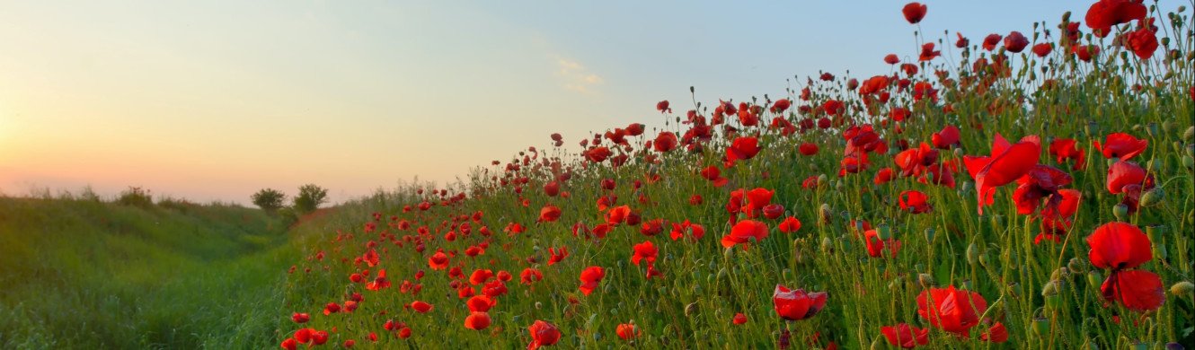 Remembrance