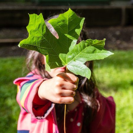 child holding a green leaf