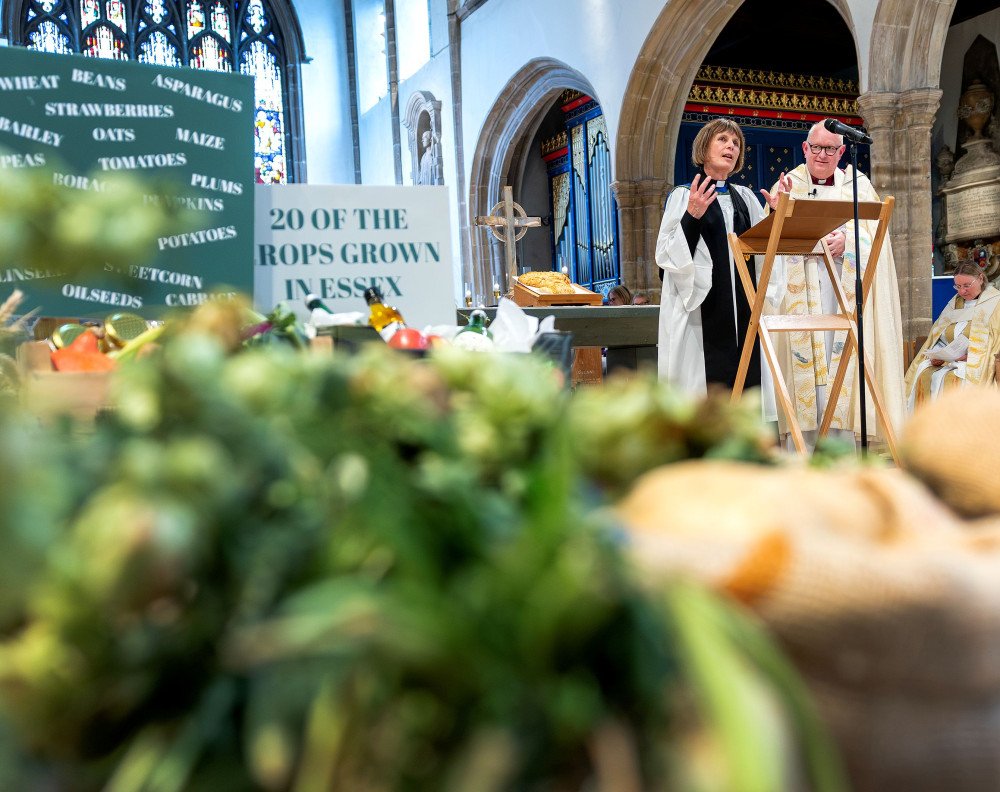County Harvest Service 2026