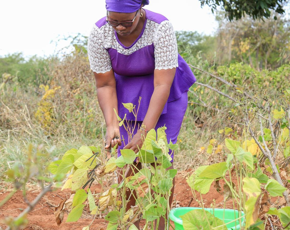 Lent Appeal 2026 image