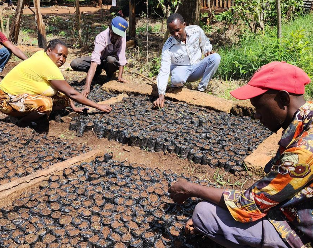 Lent Appeal 2026 image