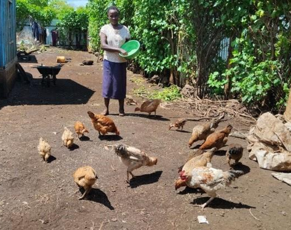 Lent Appeal 2026 image