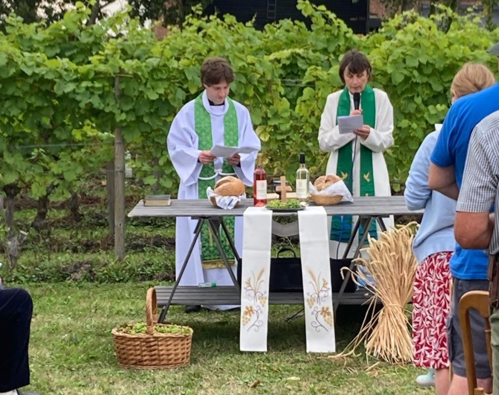 Harvest service Colchester