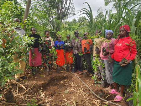 Tree Planting 