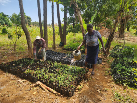 Farming 